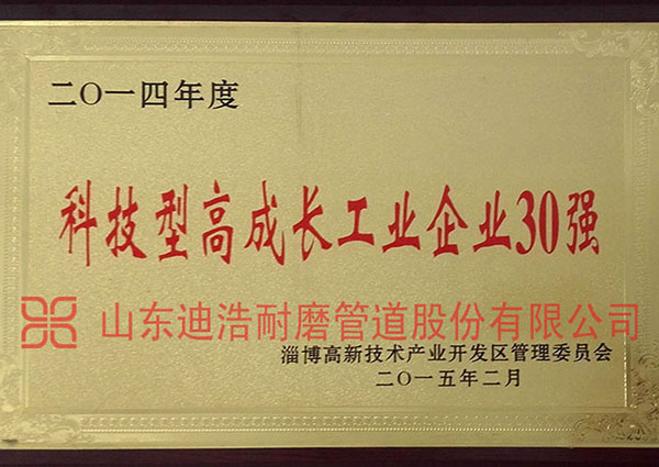 科技型高成长工业企业30强